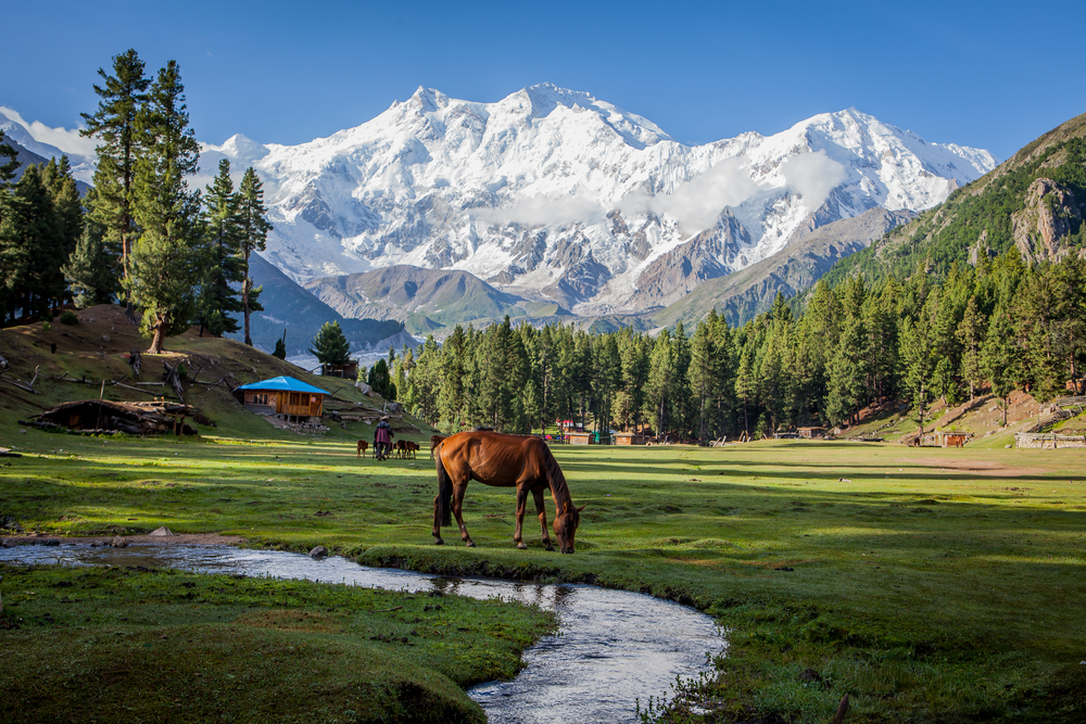Fairy Meadows is one of the Top Tourist Attractions in Pakistan