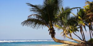 Puerto Plata vs Punta Cana? Best Place to Visit in 2022